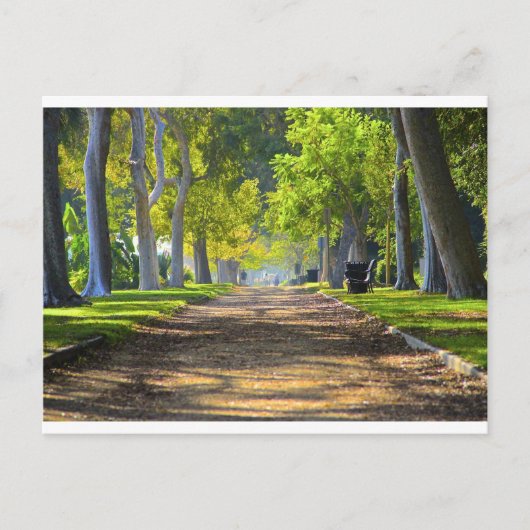 Carte Postale Voie pacifique (Devant)