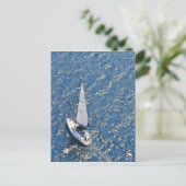 Carte Postale Voile (Debout devant)