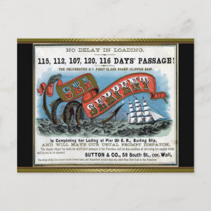 Carte Postale Voile à Clipper Serpent Mer