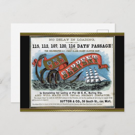 Carte Postale Voile à Clipper Serpent Mer (Devant / Derrière)