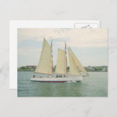Carte Postale Voile bateaux Postale (Devant / Derrière)