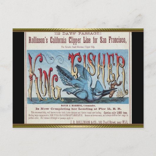 Carte Postale Voile King Fisher Clipper (Devant)