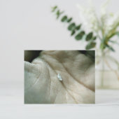 Carte Postale Voile le long de la ligne de vie (Debout devant)