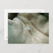 Carte Postale Voile le long de la ligne de vie (Devant / Derrière)