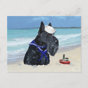 Carte Postale Voilier écossais Terrier