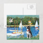 Carte Postale Voiliers - Boston Terrier #@ (Devant / Derrière)