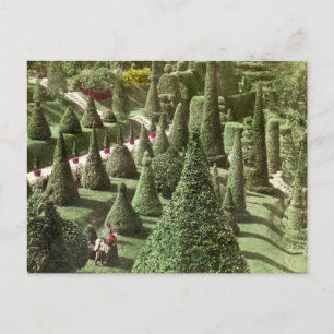 Carte Postale Voir dans les terrains de M. Hunnewell, Wellesley,