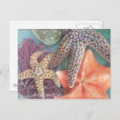 CARTE POSTALE VOIR LES ÉTOILES (Devant / Derrière)