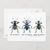 Carte Postale Voir No Wemal ! (Devant / Derrière)