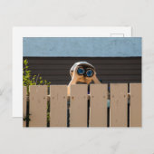 Carte postale voisine (Devant / Derrière)