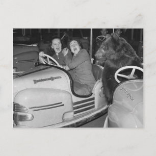 Carte Postale Voitures pare-chocs Victorian Weird a Bear