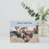 Carte Postale Voix de chèvre III (Debout devant)