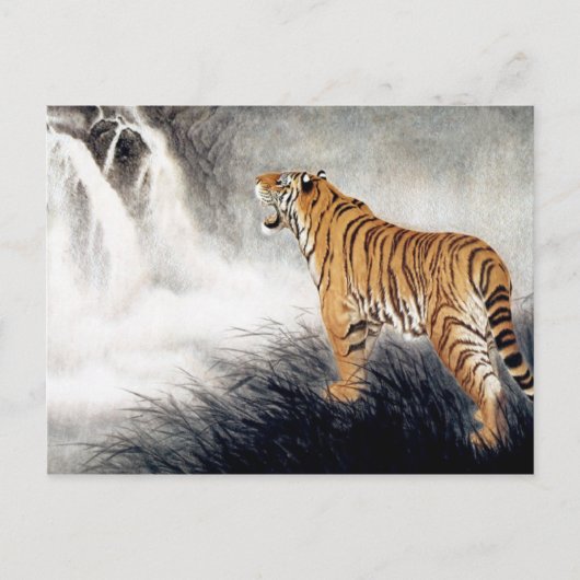 Carte Postale Voix du tigre (Devant)