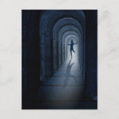 Carte Postale Vol (Devant)