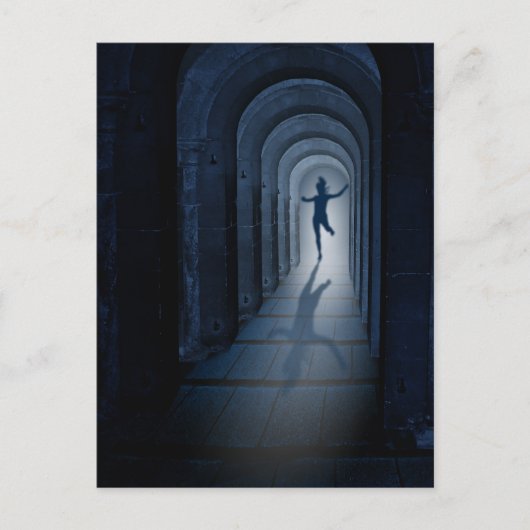 Carte Postale Vol (Devant)