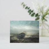 Carte Postale Vol 2013 (Debout devant)