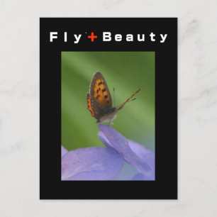 Carte Postale VOL + Beauté