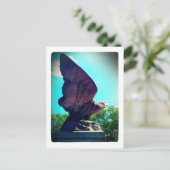 Carte Postale vol d'aigle (Debout devant)