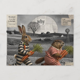 Carte Postale Vol de carottes hilarant de marmotte et de lapin