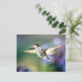 Carte Postale Vol de colibri (Debout devant)