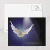 Carte Postale Vol de colombe par le faisceau de lumière (Devant / Derrière)
