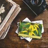 Carte Postale Vol de l'abeille à miel