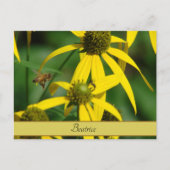 Carte Postale Vol de l'abeille à miel (Devant)