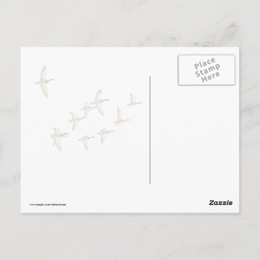 Carte Postale Vol de Mallards (Dos)