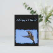 Carte Postale Vol du colibri (Debout devant)