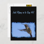 Carte Postale Vol du colibri (Devant / Derrière)