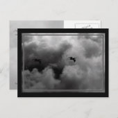 Carte Postale Vol Pélican (Devant / Derrière)