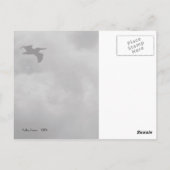 Carte Postale Vol Pélican (Dos)