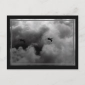 Carte Postale Vol Pélican (Devant)