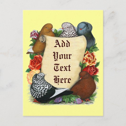 Carte Postale Vol Pigeon Soll (Devant)