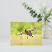 Carte Postale Vol pour (Debout devant)