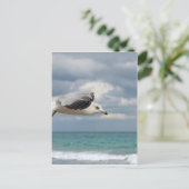Carte Postale Vol Seagull (Debout devant)
