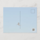 Carte Postale Volant (Dos)