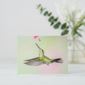 Carte Postale Volant de colibri brillant à tête verte (Debout devant)