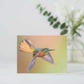 Carte Postale Volant de colibri coloré (Debout devant)