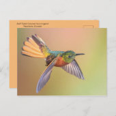 Carte Postale Volant de colibri coloré (Devant / Derrière)
