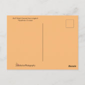 Carte Postale Volant de colibri coloré (Dos)