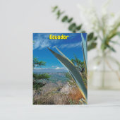 Carte Postale Volcan Cotopaxi, Equateur (Debout devant)