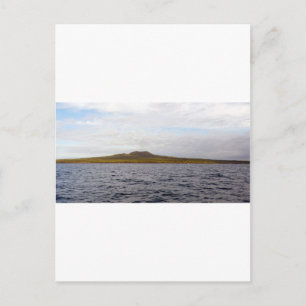 Carte Postale Volcan de l'île de Rangitoto