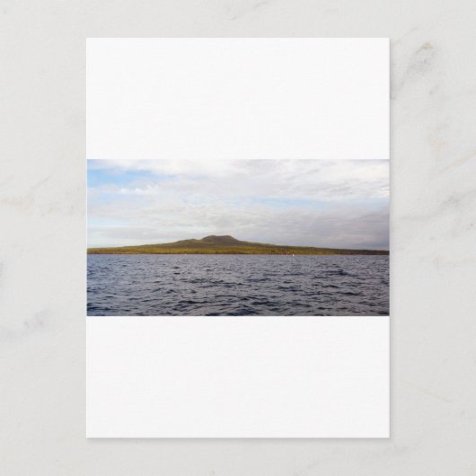 Carte Postale Volcan de l'île de Rangitoto (Devant)