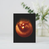 Carte postale Volcanokitten (Debout devant)