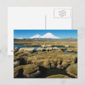 Carte Postale Volcans Payachalas (Devant / Derrière)