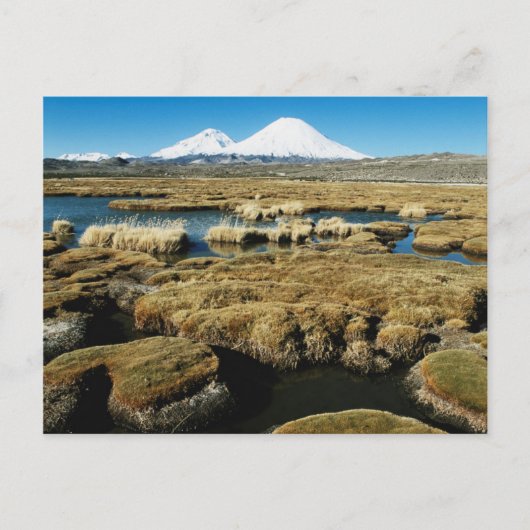 Carte Postale Volcans Payachalas (Devant)