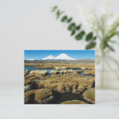 Carte Postale Volcans Payachalas (Debout devant)