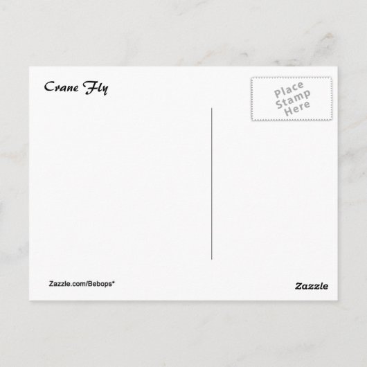 Carte Postale Volée (Dos)