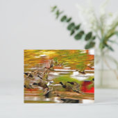 Carte Postale Voler (Debout devant)